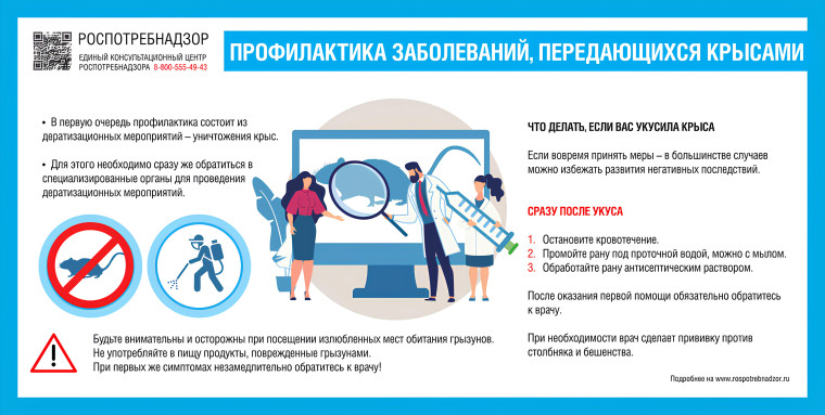 РЕКОМЕНДАЦИИ ГРАЖДАНАМ: Профилактика заболеваний, передающихся крысами.